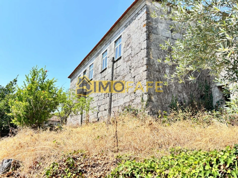 Quinta T8 para Venda em Ribeiros Foto 11