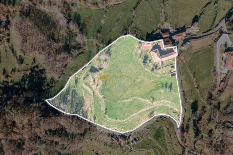 Quinta T8 para Venda em Ribeiros Foto 13