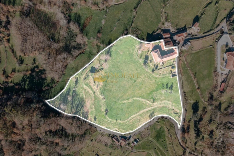 Quinta T8 para Venda em Ribeiros Foto 13