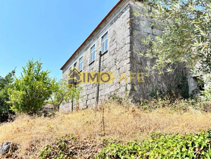 Quinta T8 para Venda em Ribeiros Foto 11