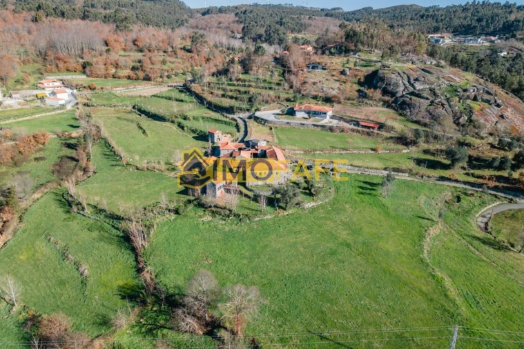 Quinta T8 para Venda em Ribeiros Foto 3