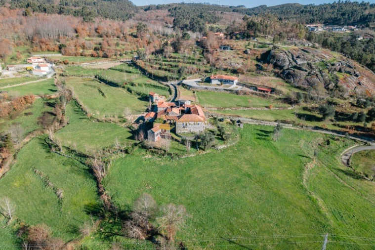 Quinta T8 para Venda em Ribeiros Foto 10