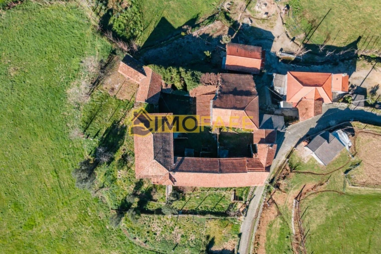 Quinta T8 para Venda em Ribeiros Foto 2