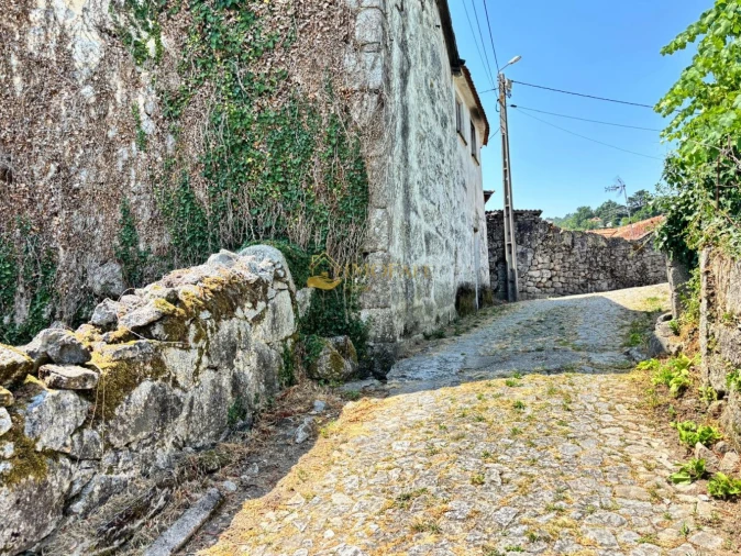 Quinta T8 para Venda em Ribeiros Foto 17