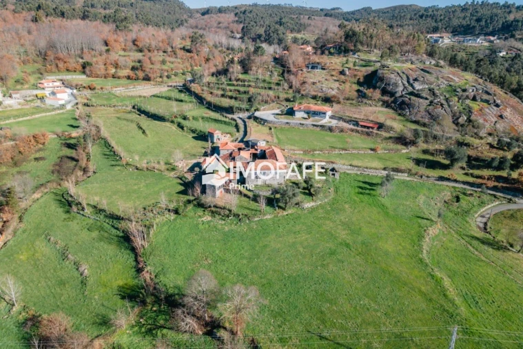 Quinta T8 para Venda em Ribeiros Foto 10