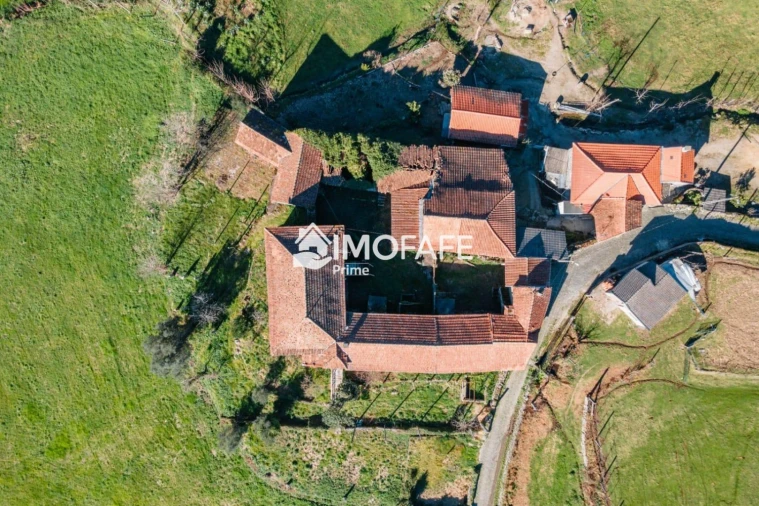 Quinta T8 para Venda em Ribeiros Foto 9
