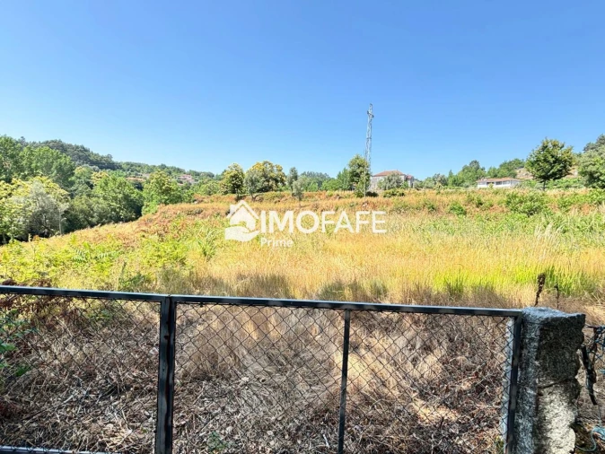 Quinta T8 para Venda em Ribeiros Foto 15