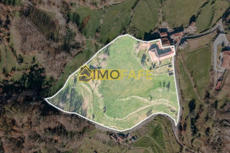 Quinta T8 para Venda em Ribeiros Foto 6