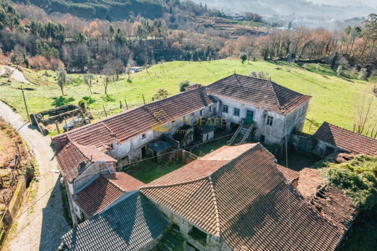 Quinta T8 para Venda em Ribeiros Foto 8