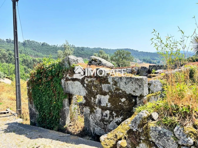 Quinta T8 para Venda em Ribeiros Foto 16