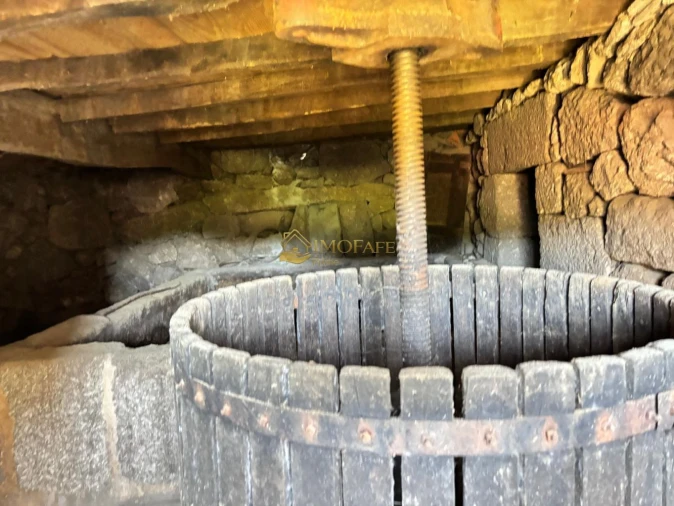 Quinta T8 para Venda em Ribeiros Foto 35