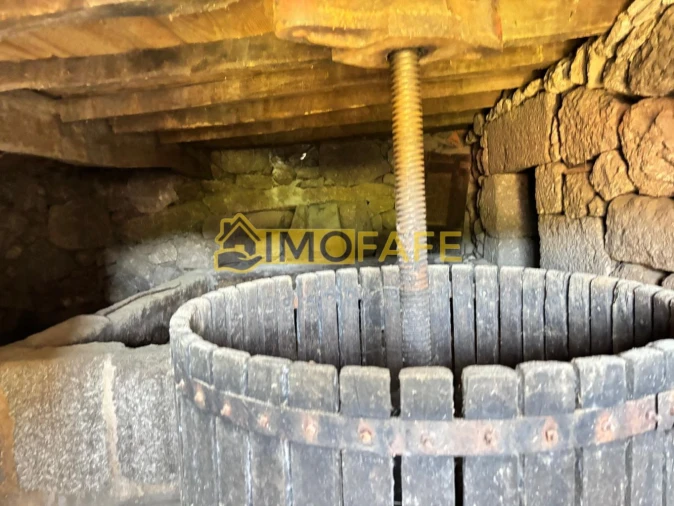 Quinta T8 para Venda em Ribeiros Foto 28