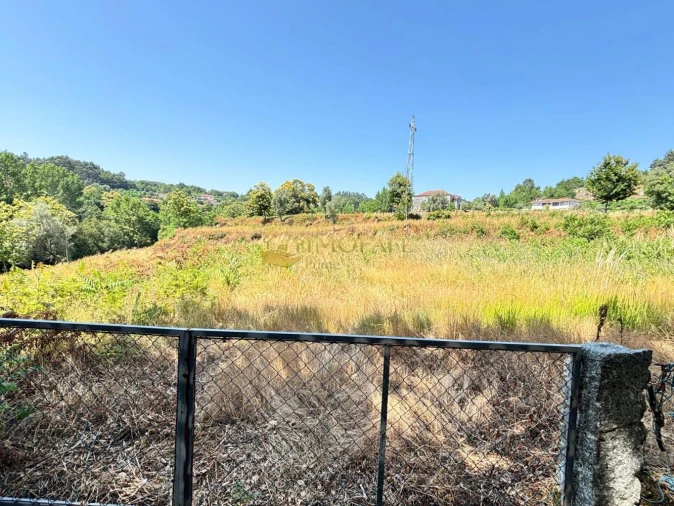 Quinta T8 para Venda em Ribeiros Foto 15