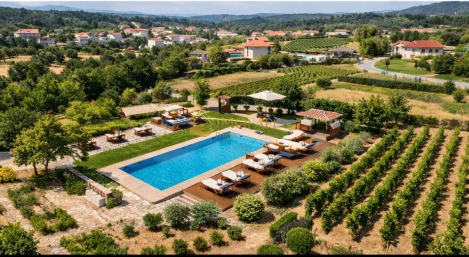 Quinta T8 para Venda em Ribeiros Foto 7