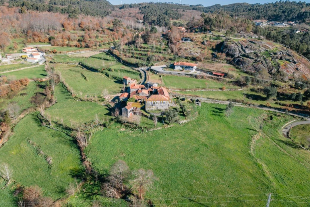 Quinta T8 para Venda em Ribeiros Foto 10