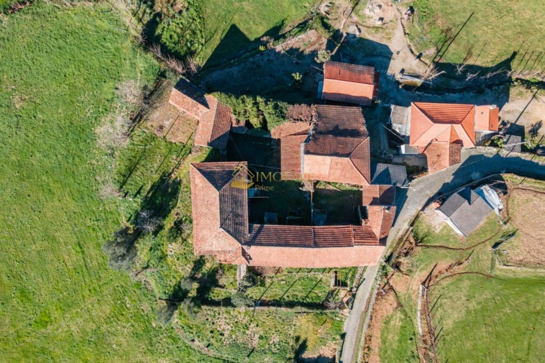 Quinta T8 para Venda em Ribeiros Foto 9