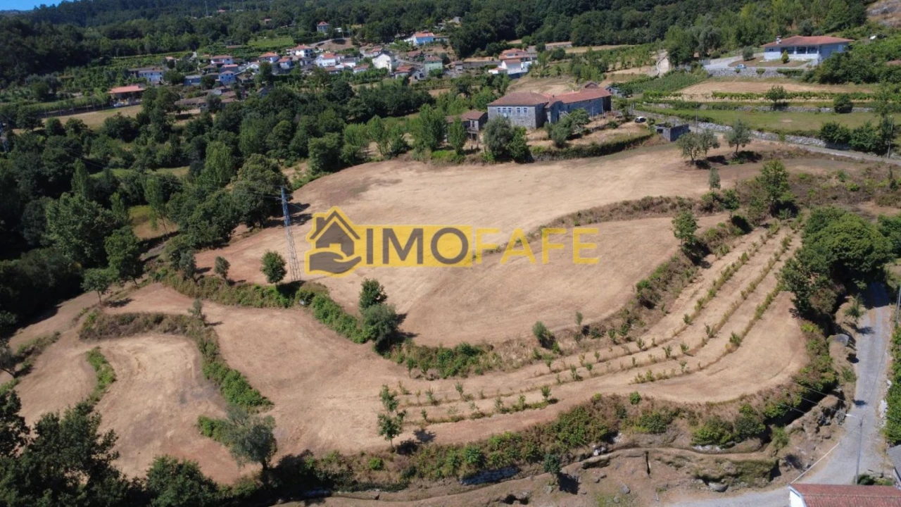 Quinta T8 para Venda em Ribeiros Foto 30