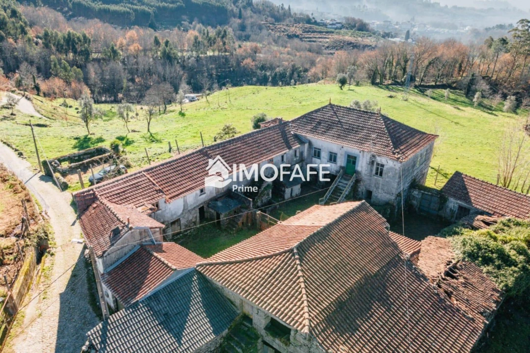 Quinta T8 para Venda em Ribeiros Foto 8