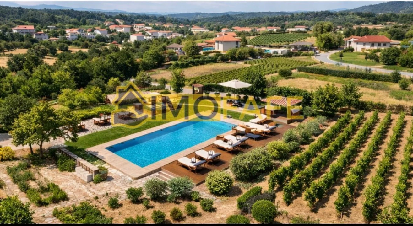 Quinta T8 para Venda em Ribeiros Foto 7