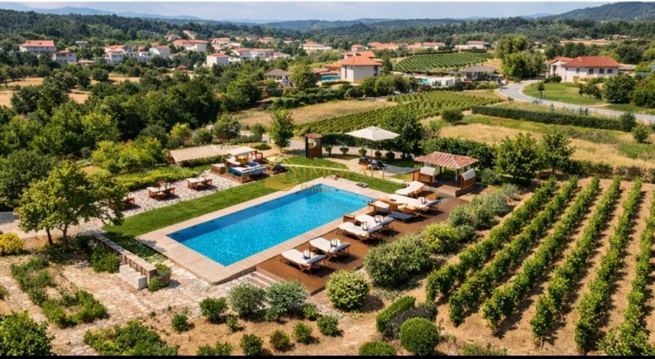 Quinta T8 para Venda em Ribeiros Foto 7