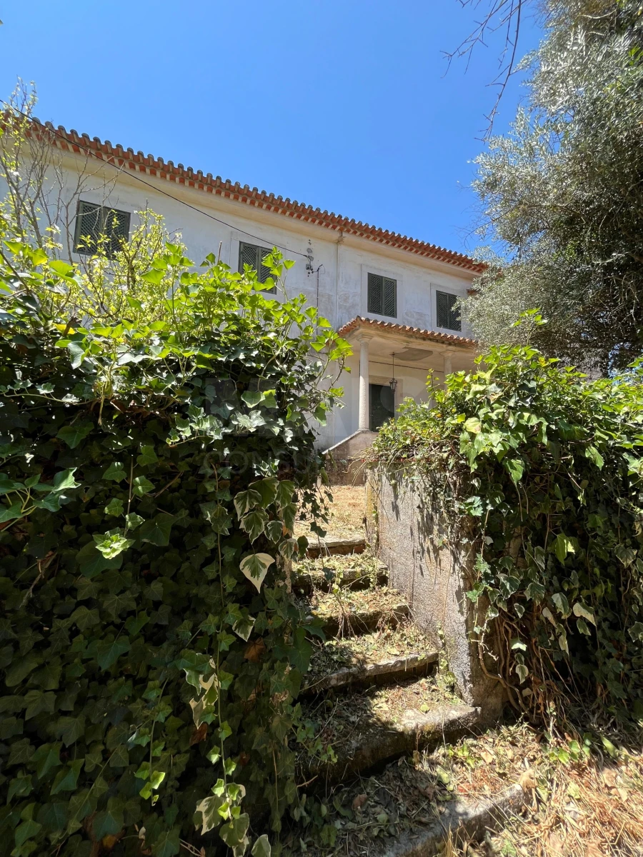 Moradia T9 para Venda em Torres Novas (São Pedro), Lapas e Ribeira Branca Foto 3