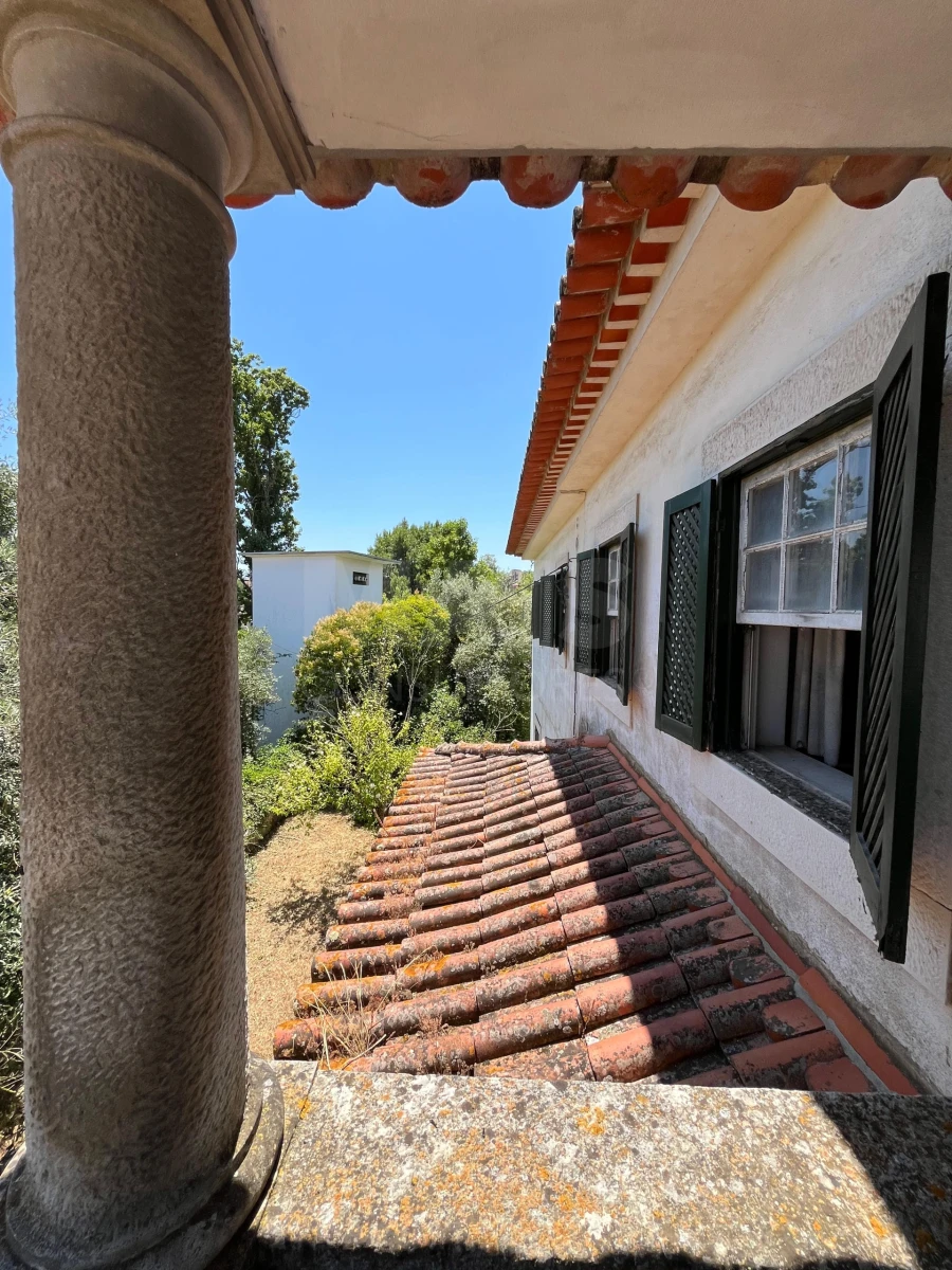 Moradia T9 para Venda em Torres Novas (São Pedro), Lapas e Ribeira Branca Foto 4