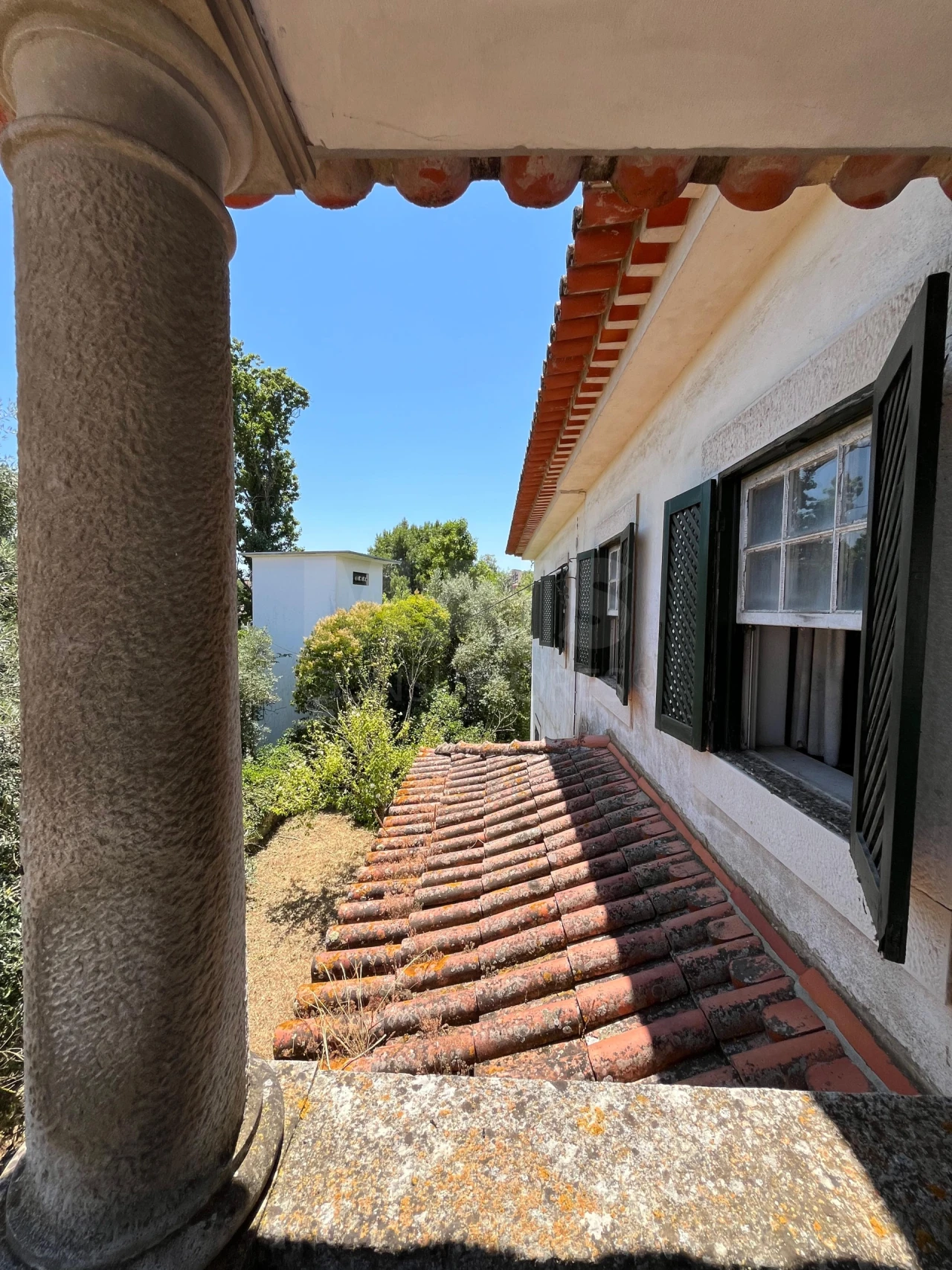 Moradia T9 para Venda em Torres Novas (São Pedro), Lapas e Ribeira Branca Foto 4