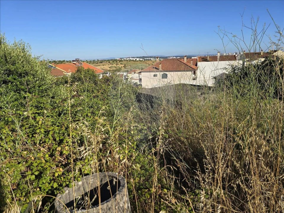 Terreno para Venda em Mina de Água Foto 10