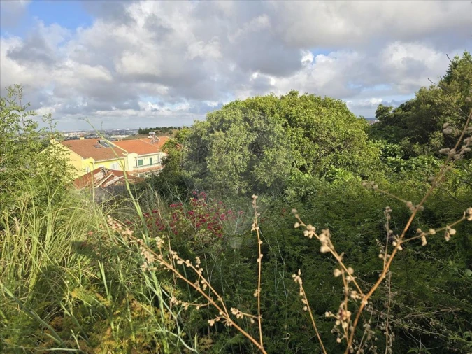 Terreno para Venda em Mina de Água Foto 5