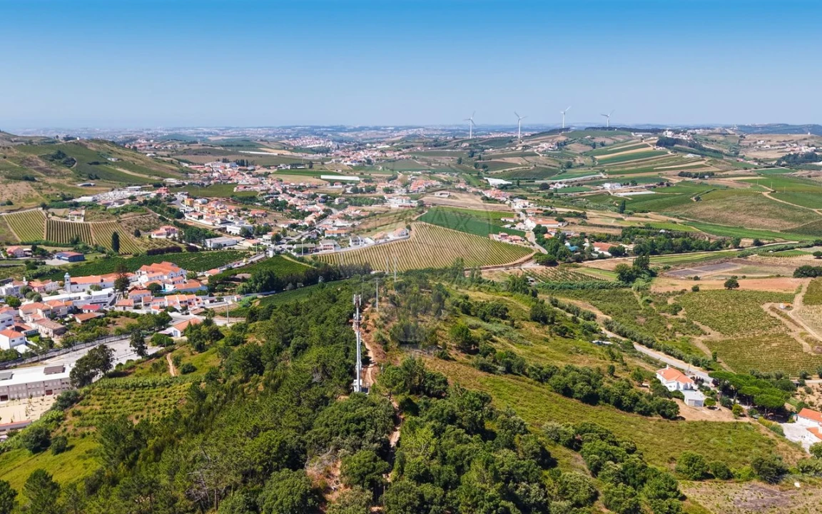Terreno para Venda em Freiria Foto 32