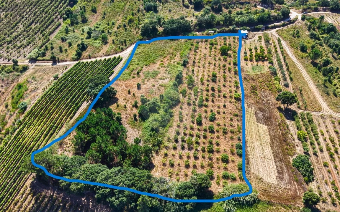 Terreno para Venda em Freiria Foto 40