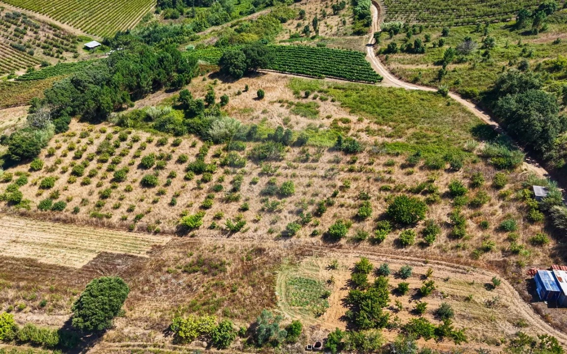 Terreno para Venda em Freiria Foto 3
