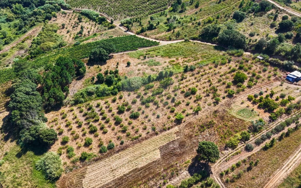 Terreno para Venda em Freiria Foto 17