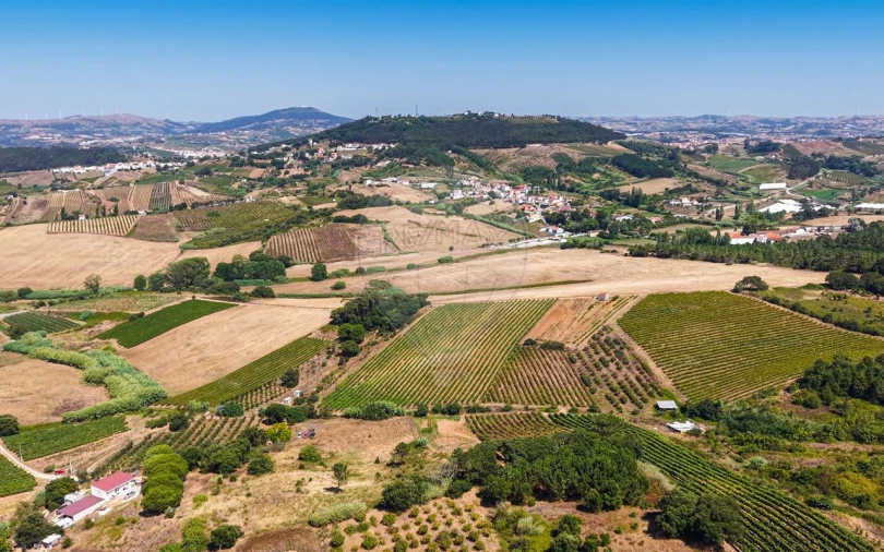 Terreno para Venda em Freiria Foto 29