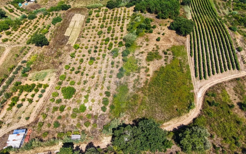 Terreno para Venda em Freiria Foto 30