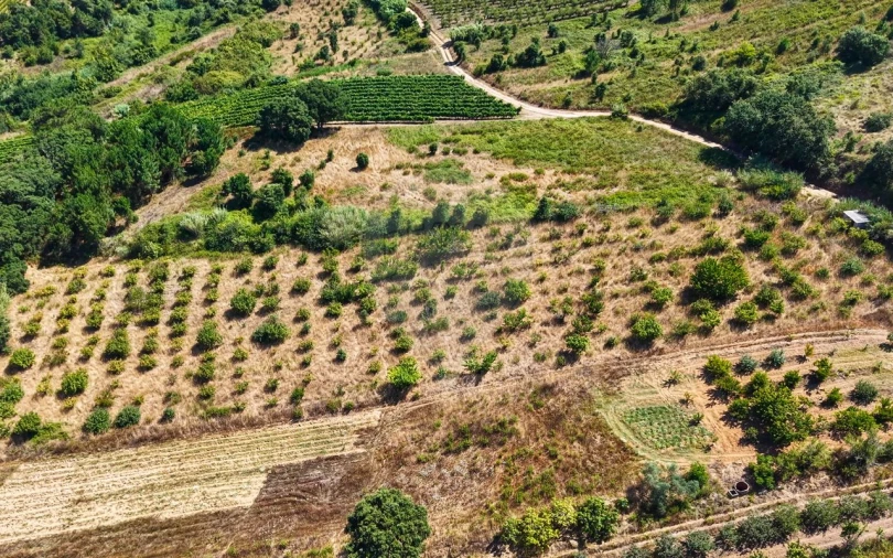 Terreno para Venda em Freiria Foto 38