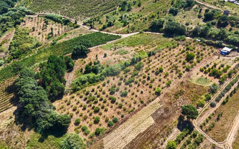 Terreno para Venda em Freiria Foto 12