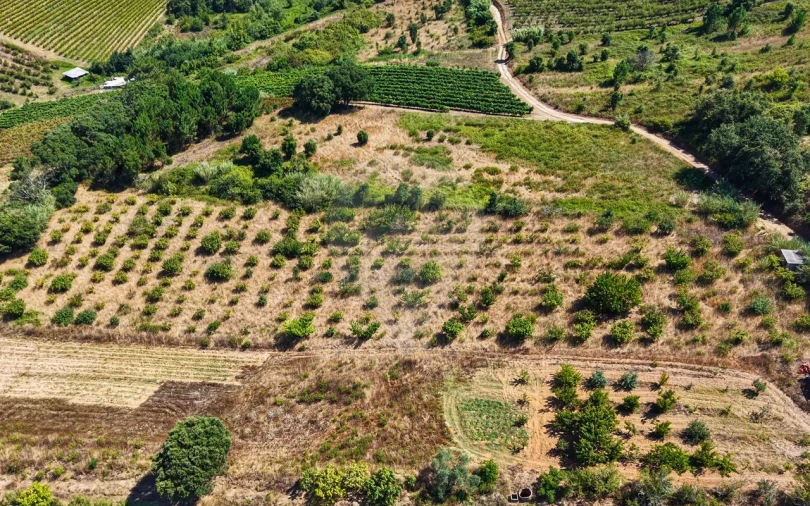 Terreno para Venda em Freiria Foto 27