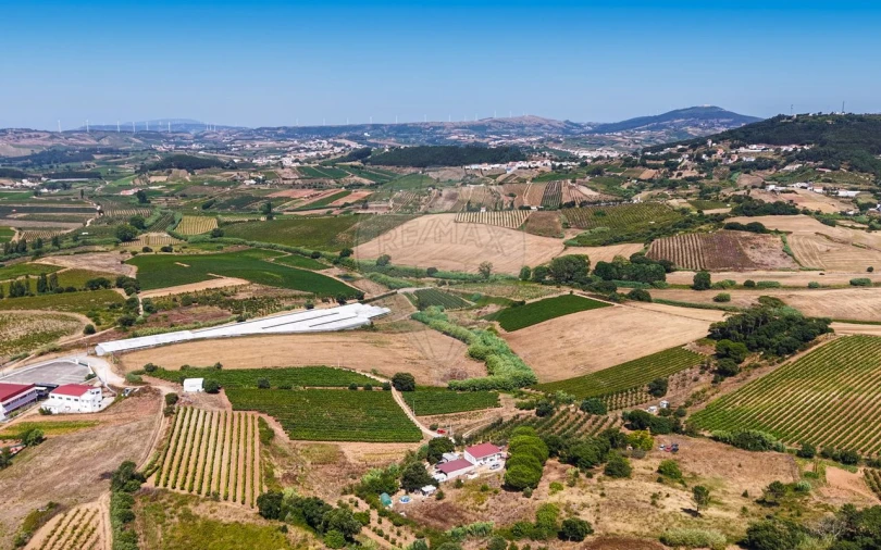 Terreno para Venda em Freiria Foto 34