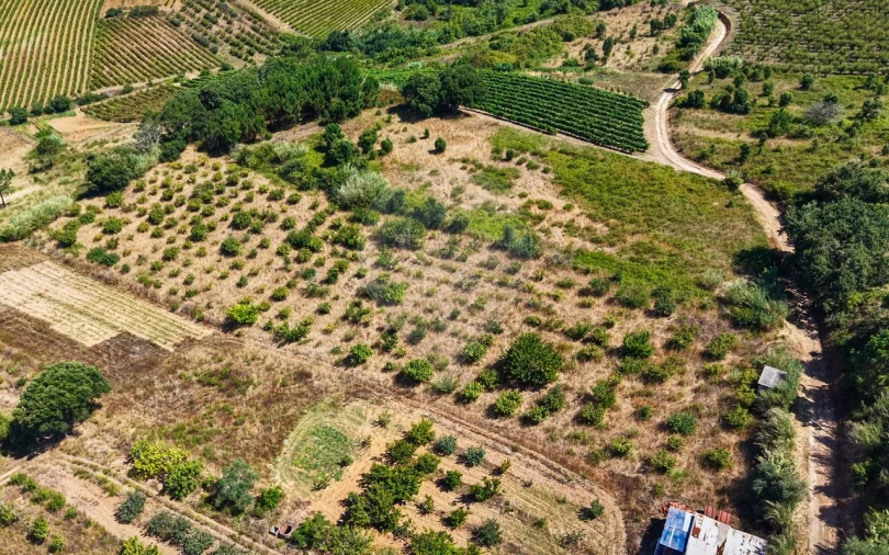Terreno para Venda em Freiria Foto 28