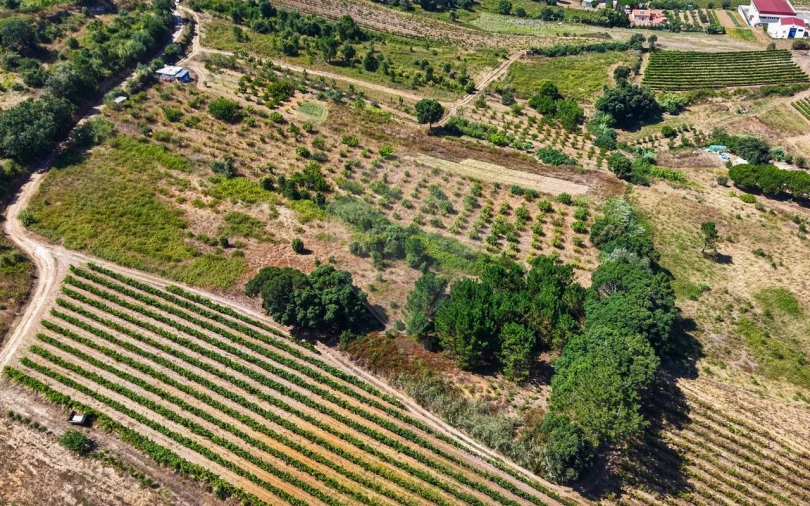 Terreno para Venda em Freiria Foto 20