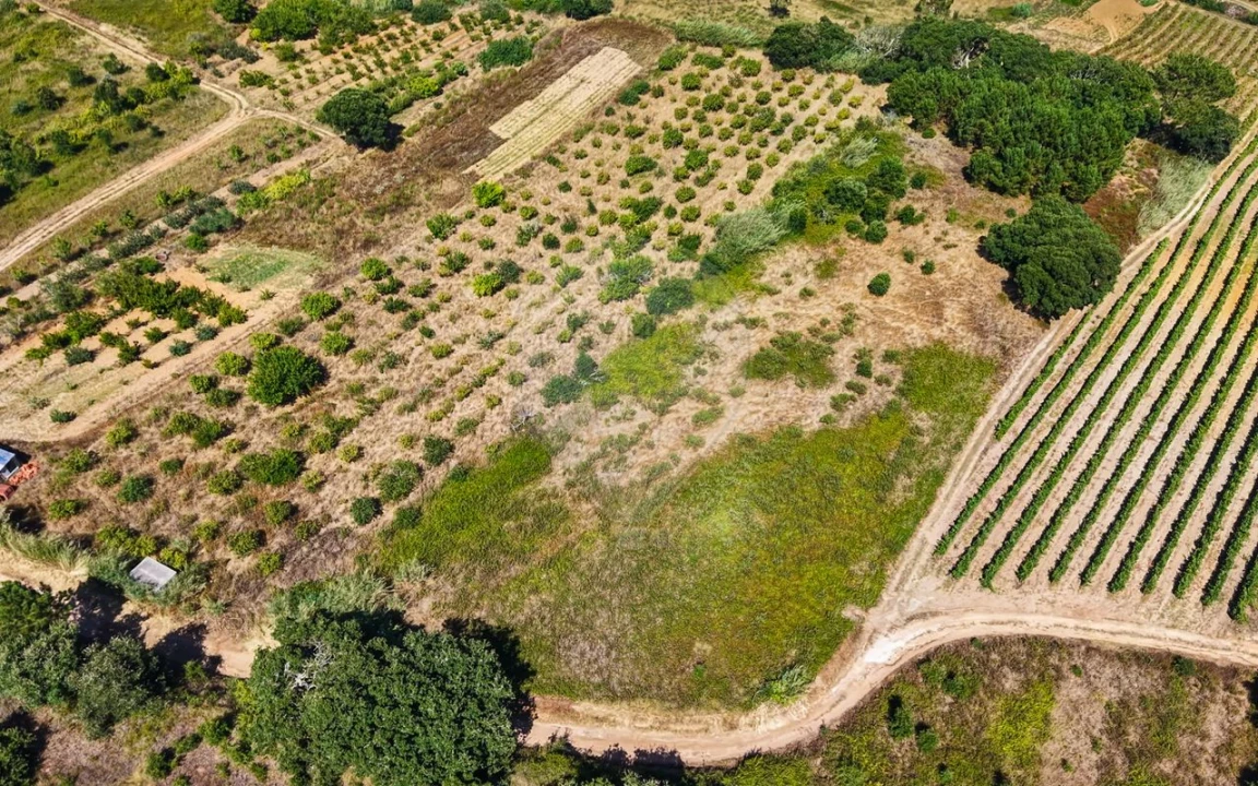 Terreno para Venda em Freiria Foto 24