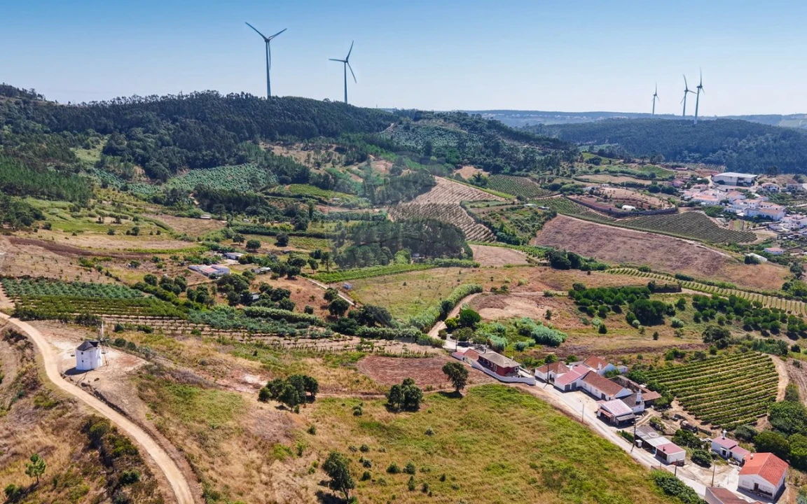 Terreno para Venda em Freiria Foto 33