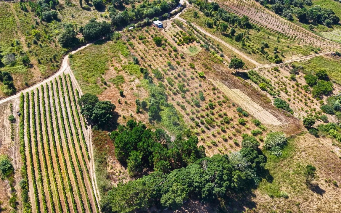 Terreno para Venda em Freiria Foto 16