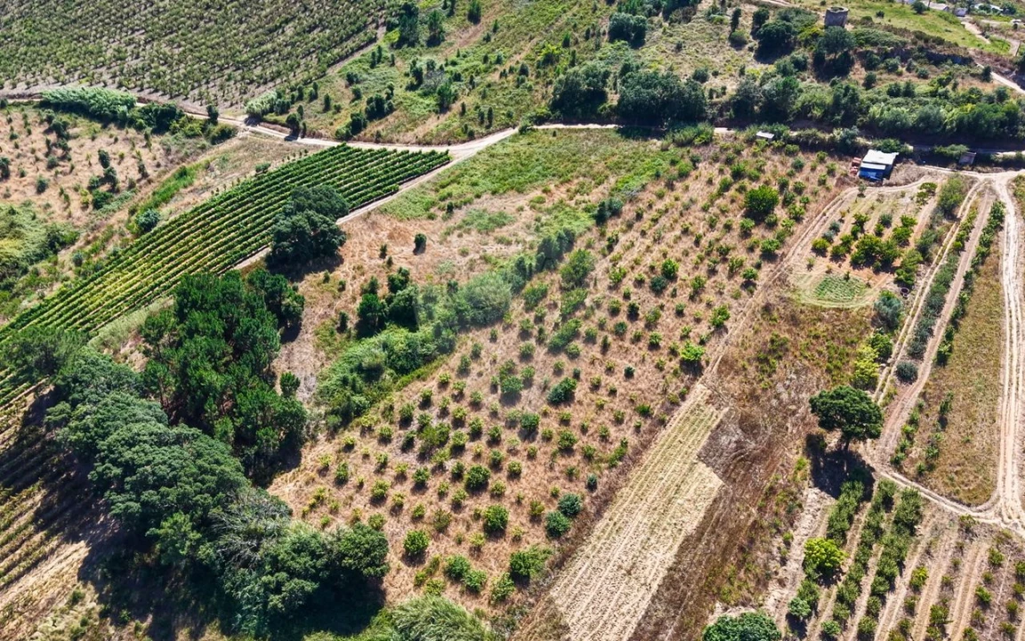 Terreno para Venda em Freiria Foto 7