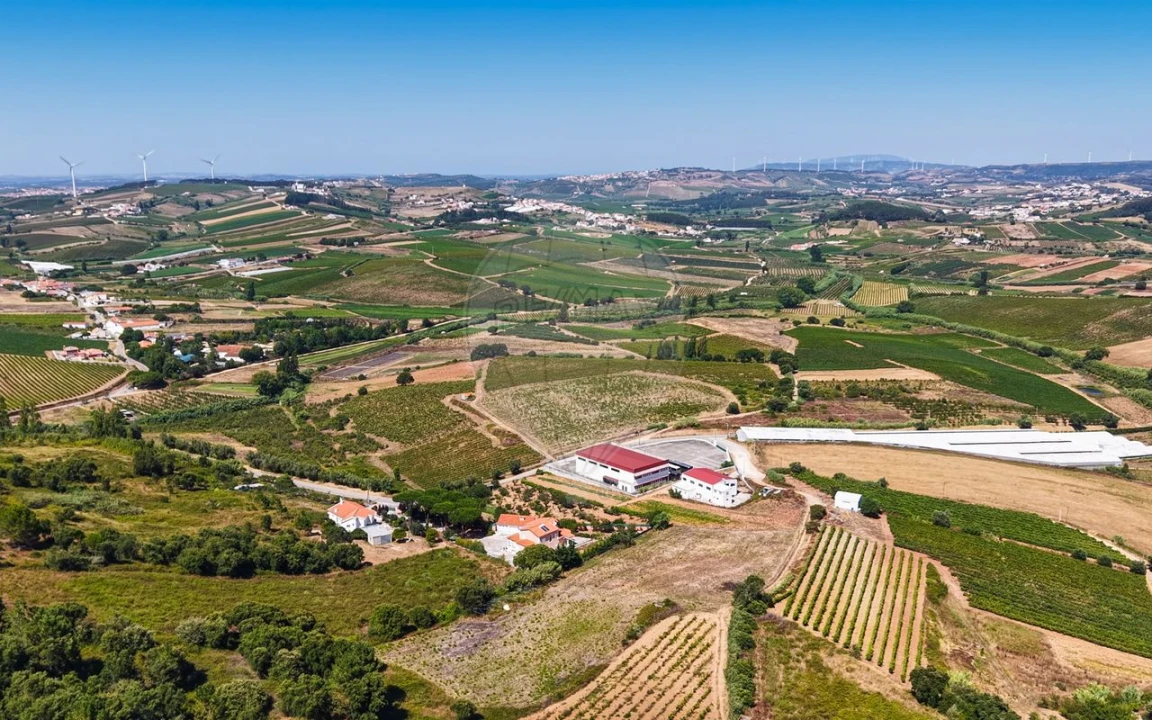 Terreno para Venda em Freiria Foto 35
