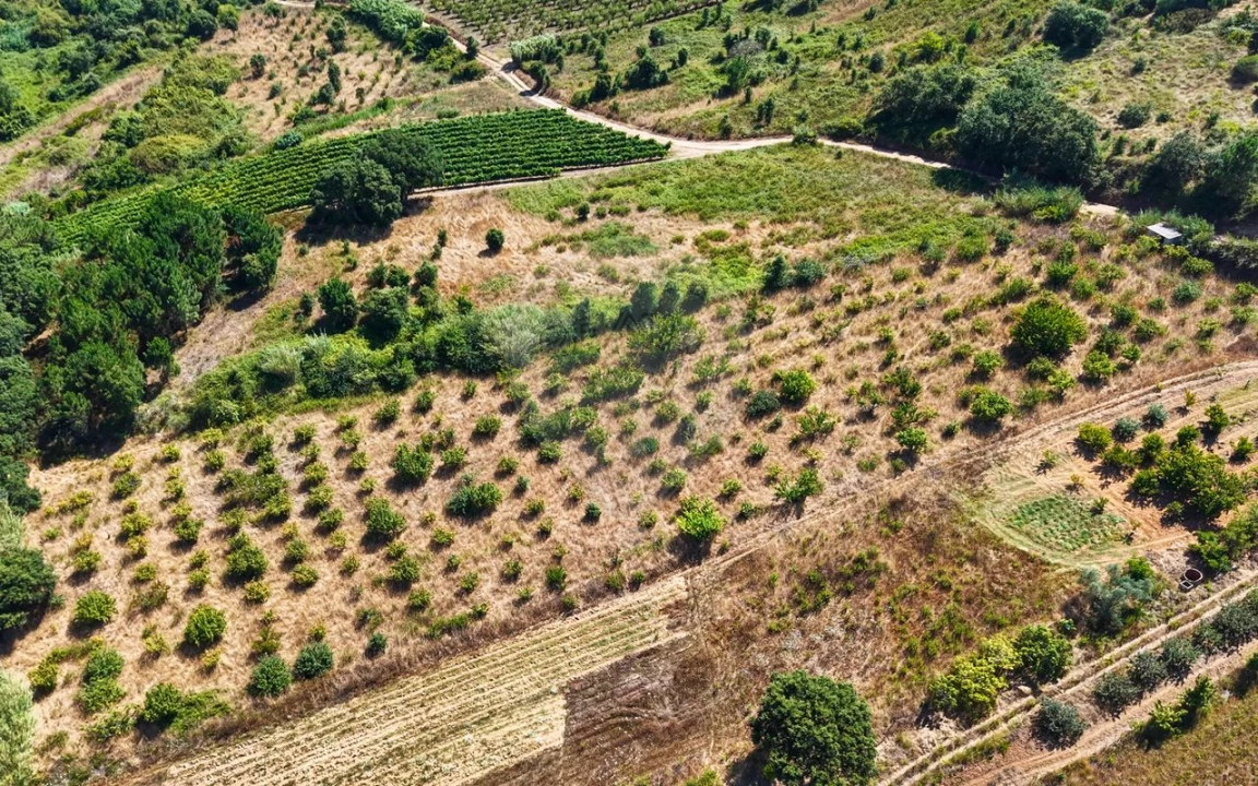 Terreno para Venda em Freiria Foto 26