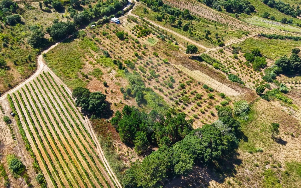 Terreno para Venda em Freiria Foto 21