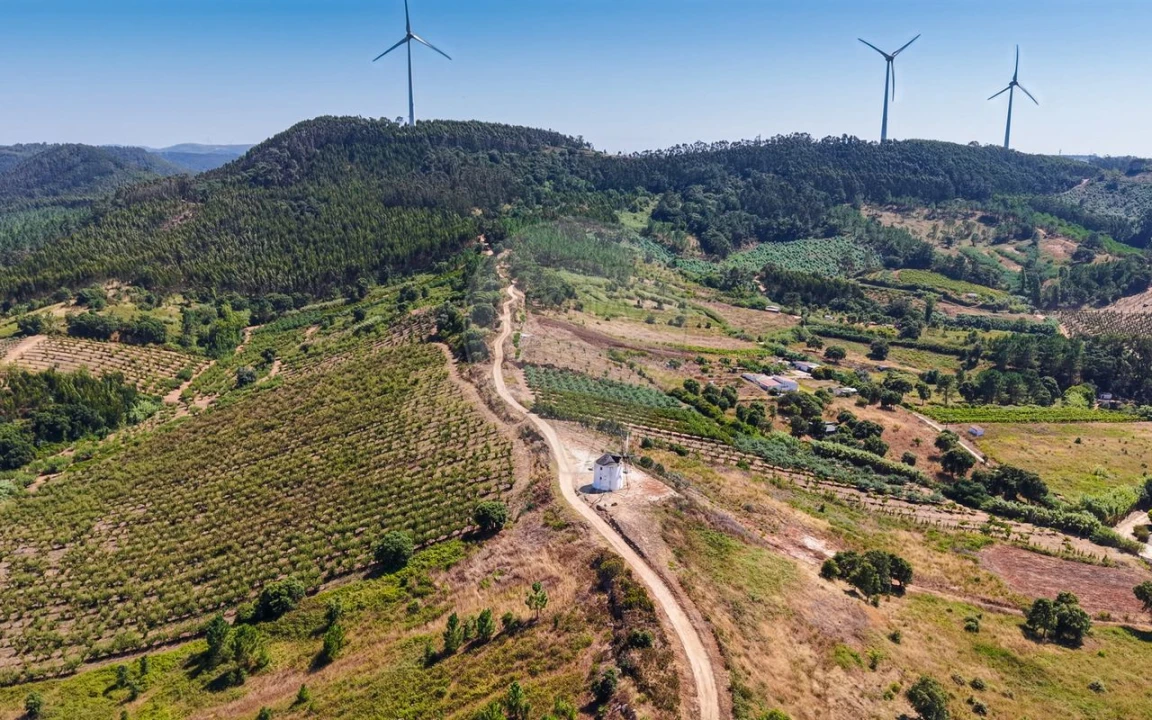 Terreno para Venda em Freiria Foto 37