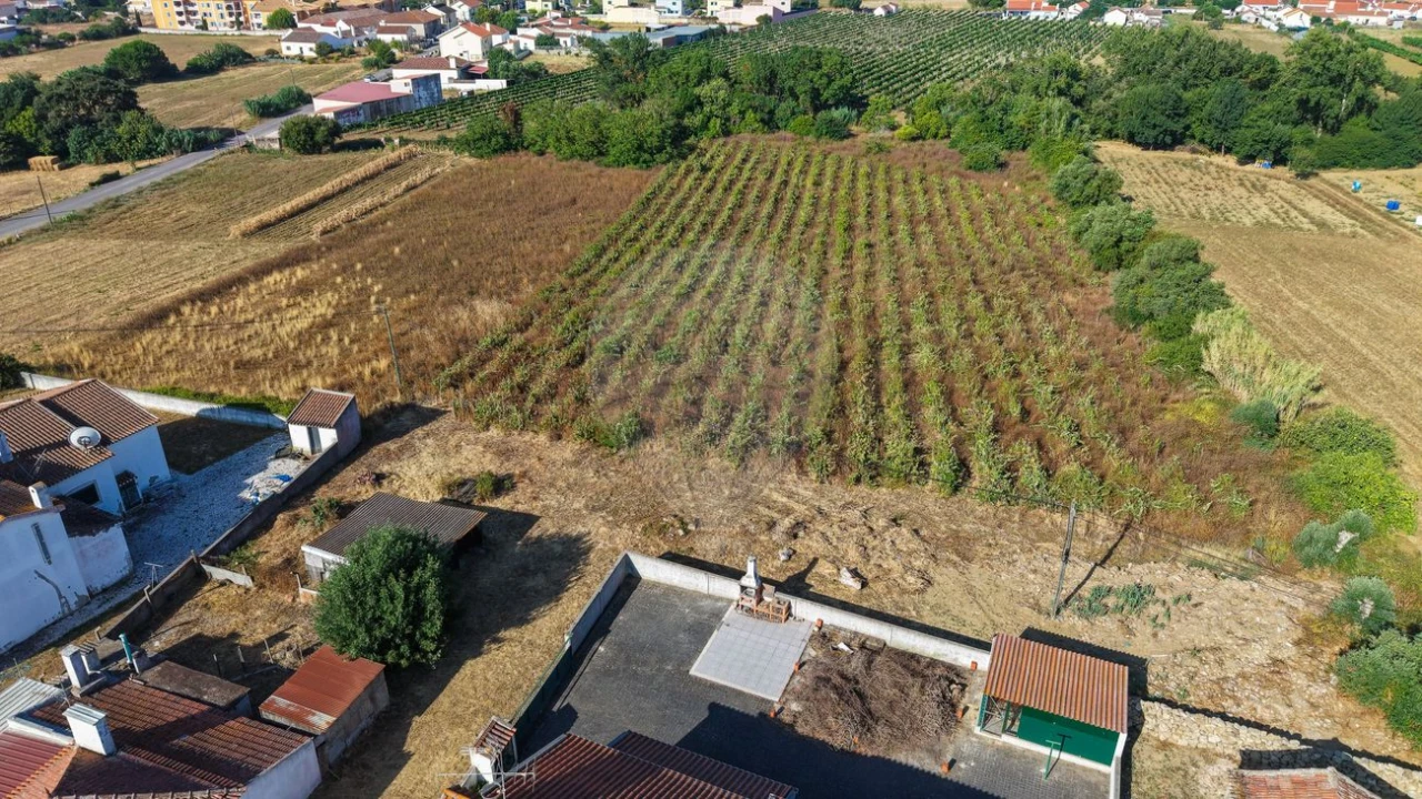 Moradia T3 para Venda em Arruda dos Vinhos Foto 30